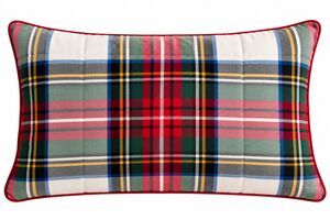 Pottery Barn New Stewart Plaid Cotton Sherpa Sham King